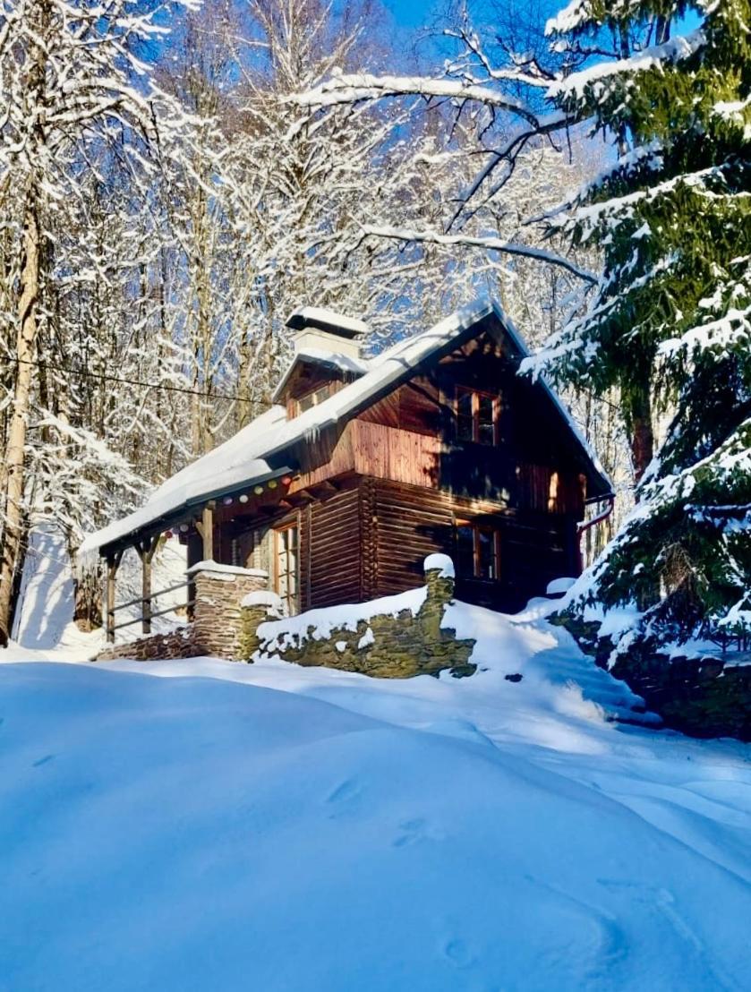 Srub V Bolkovskem Udoli Villa Rudník Exterior photo