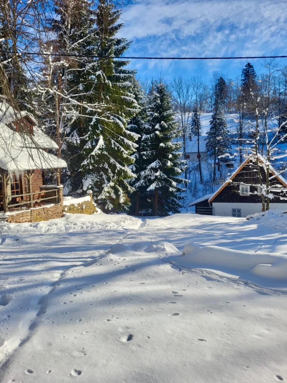 Srub V Bolkovskem Udoli Villa Rudník Exterior photo