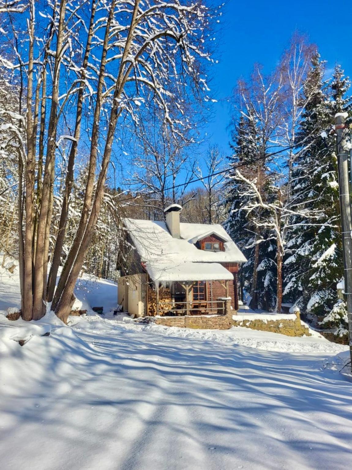 Srub V Bolkovskem Udoli Villa Rudník Exterior photo